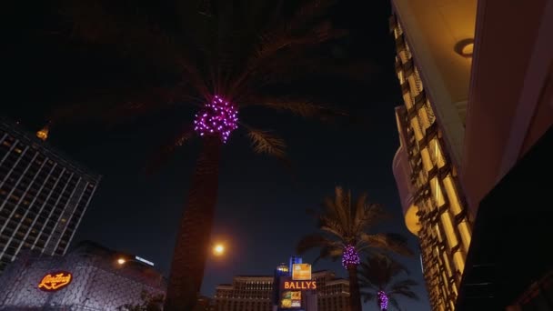 Palm trees at the Cromwell Hotel Las Vegas by night - LAS VEGAS-NEVADA, OCTOBER 11, 2017 — Stock Video