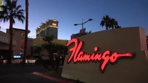 Flamingo Hotel and Casino Las Vegas - όμορφη θέα το βράδυ - LAS VEGAS-NEVADA, 11 Οκτωβρίου 2017 — Αρχείο Βίντεο