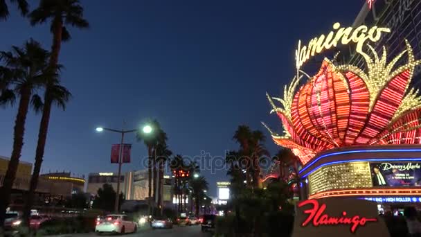 Flamingo Hotel and Casino Las Vegas - gyönyörű kilátás az estére - LAS VEGAS-NEVADA, Október 11, 2017 — Stock videók