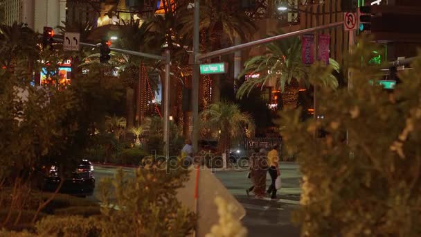 Palmbomen op Las Vegas Boulevard verlicht 's nachts - Las Vegas-Nevada, 11 oktober 2017 — Stockvideo