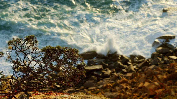 Portekiz Deki Cape Roca Üzerinde Gün Batımı Avrupa Nın Batı — Stok fotoğraf