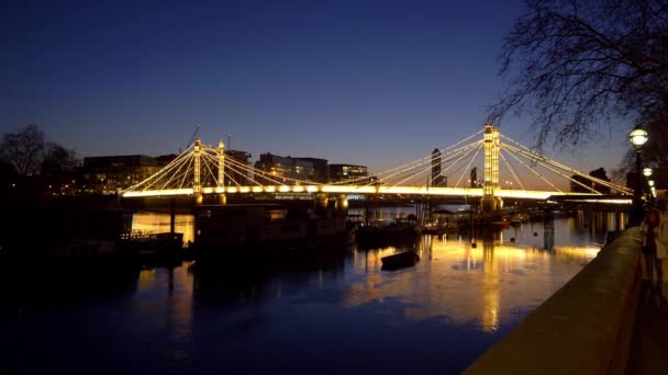 Underbar Albert Bridge London kväll utsikt — Stockvideo
