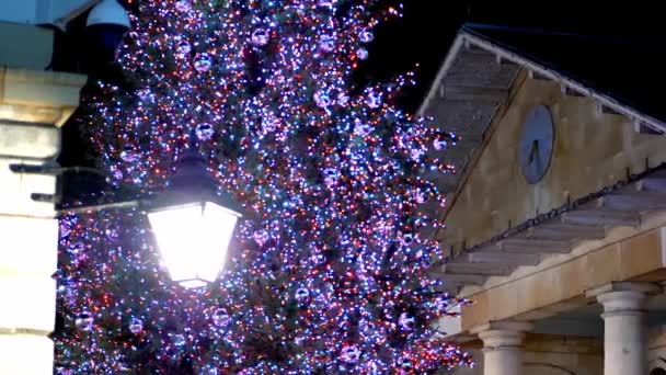 2018 년 12 월 10 일에 확인 함. 거대 한 크리스마스 트리 at Covent Garden London - London - December 10, 2019 — 비디오