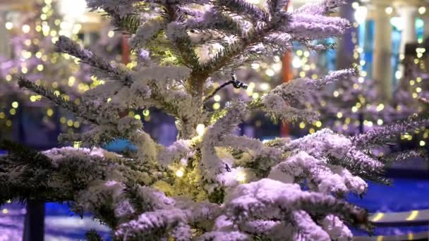Arkaplan resmi için Noel ağacı — Stok video