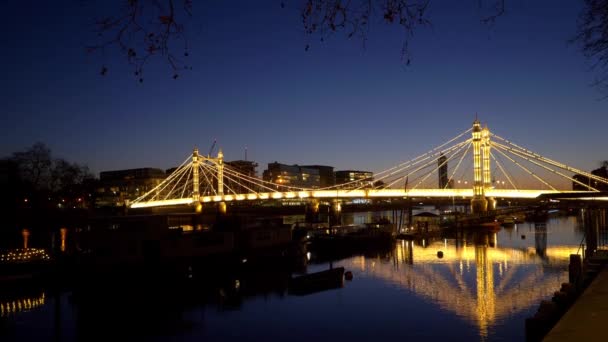 Belyst Albert Bridge London på kvällen - London, England - 10 december 2019 — Stockvideo