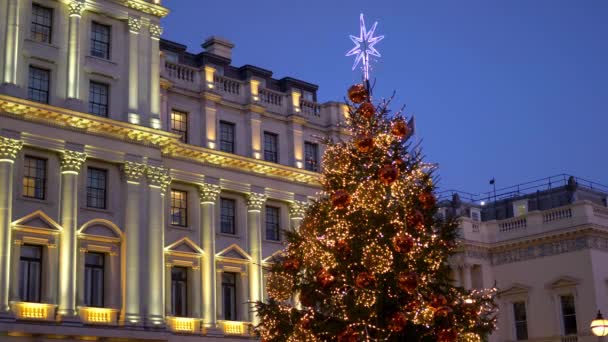 Beautiful Christmas tree Waterloo Place London - LONDON, ENGLAND - DECEMBER 10, 2019 — Stock Video