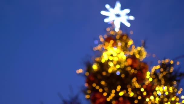 Όμορφη Χριστουγεννιάτικο δέντρο θέα το βράδυ — Αρχείο Βίντεο