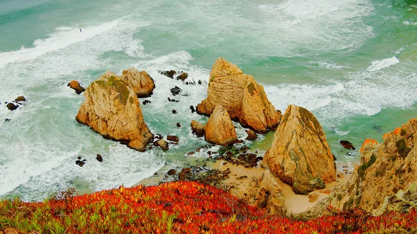 Naturparken Sintra Vid Cape Roca Portugal Cabo Roca Fotografi — Stockfoto