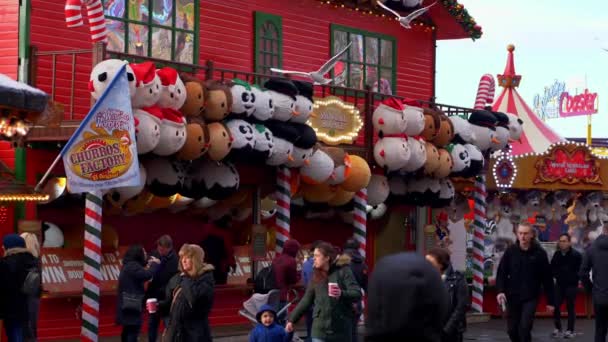 Téli csodaország Karácsonyi vásár London Hyde Parkban - London, Anglia - 2019. december 11. — Stock videók