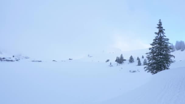 Paisajes Nevados Cuento Hadas Invierno Imágenes Viaje — Vídeo de stock