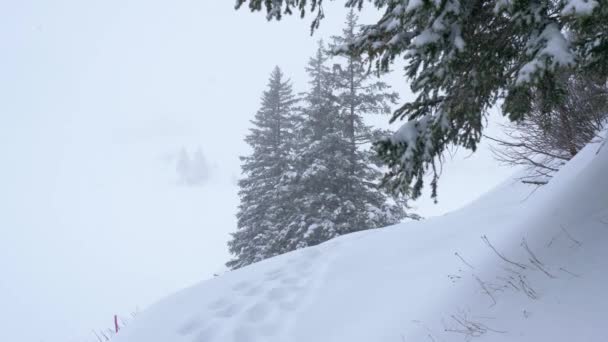 Filmato Aereo Del Meraviglioso Paesaggio Invernale Innevato Delle Alpi — Video Stock