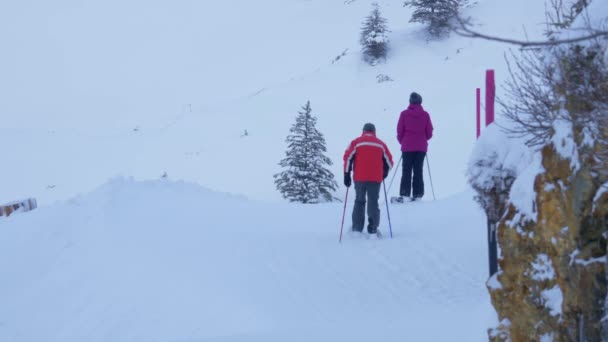 Gente Vaga Nella Neve Nelle Alpi Engelberg Svizzera Febbraio 2020 — Video Stock