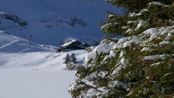 Wonderful Snowy Winter Landscape Alps — 비디오