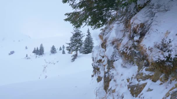 Paisajes Nevados Cuento Hadas Invierno Fotografía Viajes — Vídeos de Stock