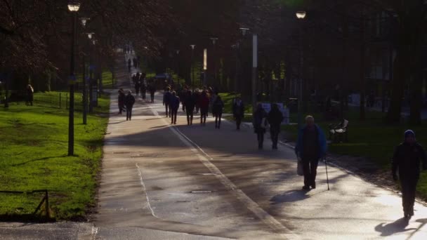 爱丁堡王子街花园 英国爱丁堡 2020年1月10日 — 图库视频影像