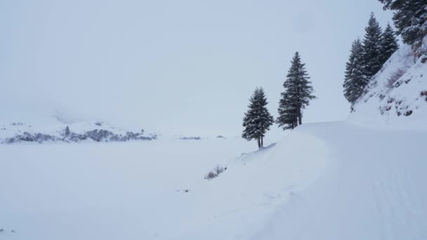 スイスアルプスの霧の中の冬の風景 旅行写真 — ストック動画