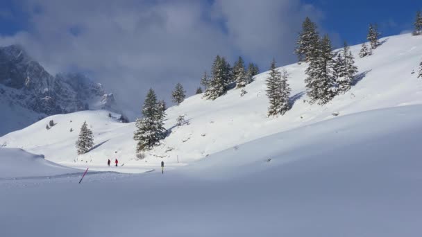 Maravilhosa Paisagem Inverno Nevado Alpes — Vídeo de Stock