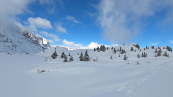 Amazing Time Lapse Shot Winter Landscape Στο Χιόνι Καλύπτονται Άλπεις — Αρχείο Βίντεο