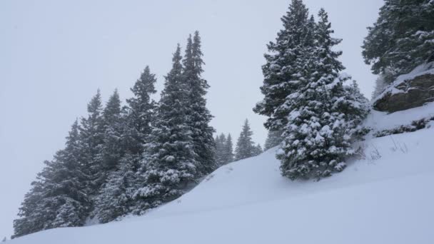 Зимний Пейзаж Тумане Швейцарских Альпах Фотографии Путешествий — стоковое видео