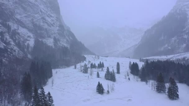 Maravilloso Paisaje Nevado Invierno Los Alpes Imágenes Aéreas — Vídeo de stock