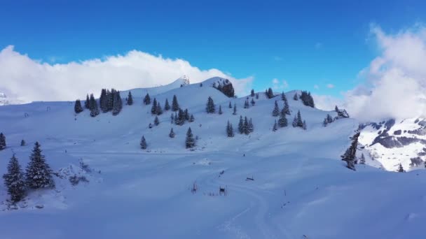 素晴らしい冬の風景 雪に覆われた山々を飛ぶ — ストック動画