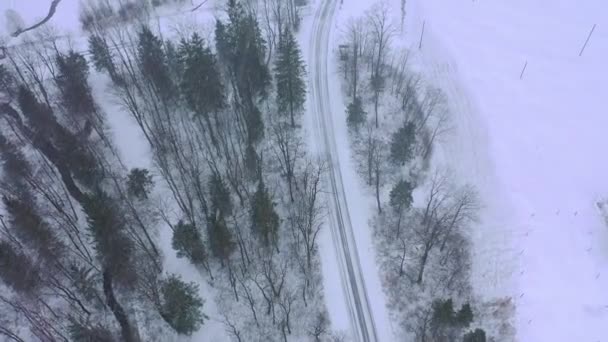 Meraviglioso Paesaggio Invernale Innevato Nelle Alpi Vista Aerea Riprese Aeree — Video Stock