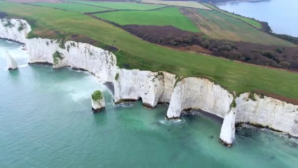 Old Harry Rocks in Inghilterra - vista aerea — Video Stock