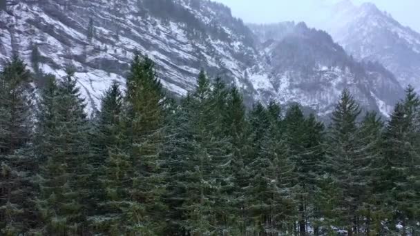 Maravilhosa Paisagem Nevada Inverno Nos Alpes Vista Aérea Imagens Aéreas — Vídeo de Stock
