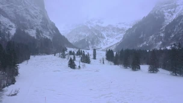 알프스 산맥의 눈덮인 — 비디오