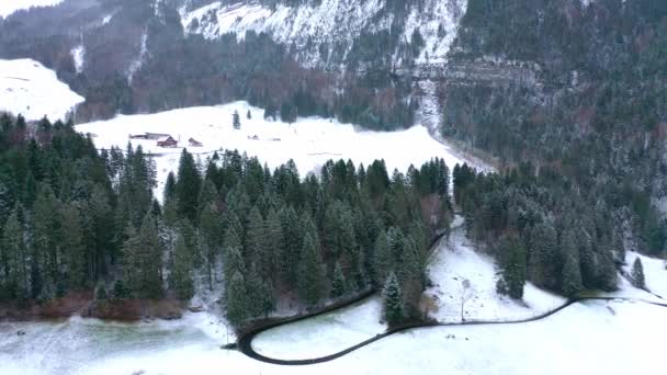 冬のモミの森を飛ぶ 雪が木をかぶった — ストック動画