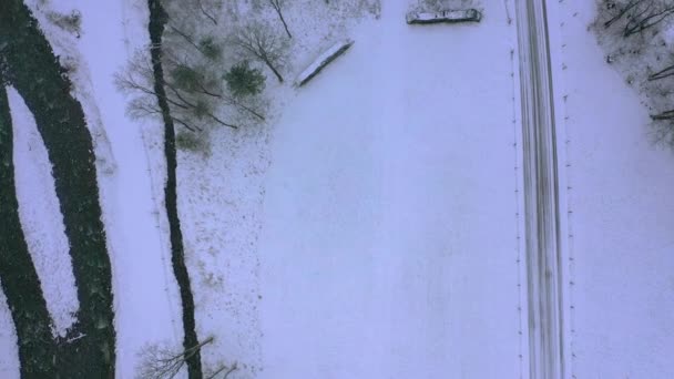 Prachtig Besneeuwd Winterlandschap Alpen Luchtfoto Luchtfoto — Stockvideo