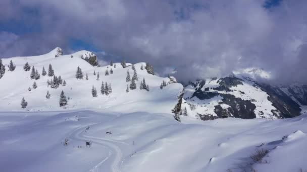 Snow Covered Mountains Winter Day Alps Aerial View Footage — Stock Video