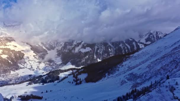 Чудовий Сніговий Зимовий Краєвид Альпах — стокове відео
