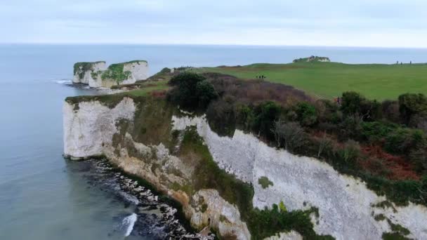 Old Harry Rocks England Aerial View Footage — Stock Video
