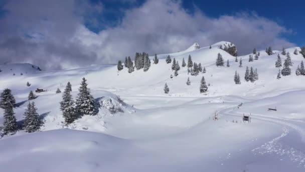 Υπέροχο Χιονισμένο Χειμερινό Τοπίο Στις Άλπεις Εναέρια Άποψη Εναέρια Πλάνα — Αρχείο Βίντεο