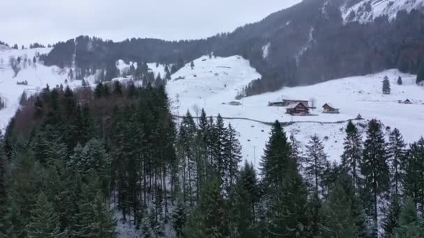 Voo Sobre Uma Floresta Abetos Inverno Árvores Cobertas Neve Imagens — Vídeo de Stock