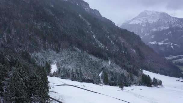 Alplerdeki Harika Karlı Kış Manzarası Hava Manzarası Hava Görüntüsü — Stok video