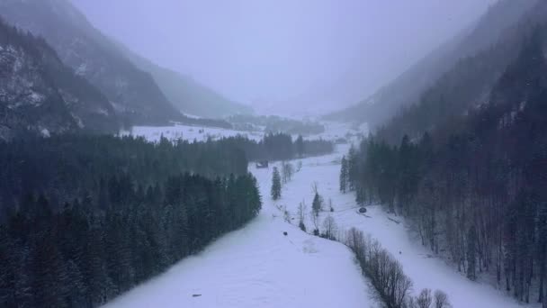 Maravilloso Paisaje Nevado Invierno Los Alpes Vista Aérea Imágenes Aéreas — Vídeo de stock