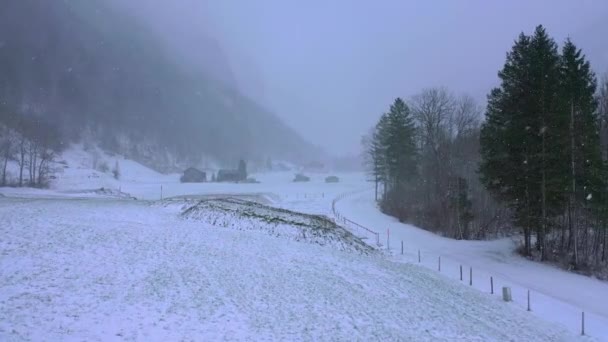 Wunderschöne Verschneite Winterlandschaft Den Alpen Luftaufnahme Luftaufnahmen — Stockvideo