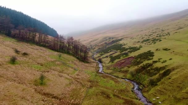 Straordinario Paesaggio Del Brecon Beacons National Park Nel Galles Riprese — Video Stock