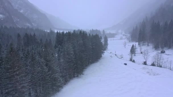 Maravilloso Paisaje Nevado Invierno Los Alpes Vista Aérea Imágenes Aéreas — Vídeo de stock