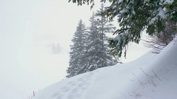 Winterlandschap Mist Zwitserse Alpen Reizen — Stockfoto