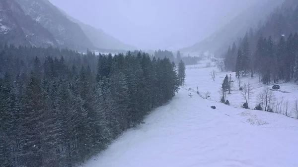 Wonderful snowy winter landscape in the Alps - aerial view - aerial photography