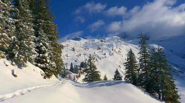 Merveilleux Paysage Hivernal Enneigé Dans Les Alpes Vue Aérienne Photographie — Photo