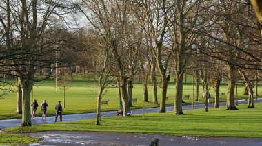 Edinburgh Inverleith Parkı - Edinburgh, İskoçya - 10 Ocak 2020