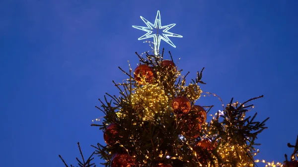 Top of a Christmas tree — Stock Photo, Image