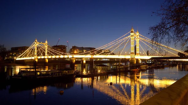 Niesamowity widok na Albert Bridge w nocy — Zdjęcie stockowe