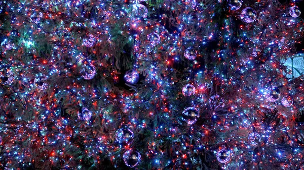 美丽的圣诞树背景 2019年12月10日 — 图库照片