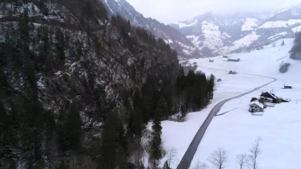 Καταπληκτικό Χιονισμένο Ελατοδάσος Στις Άλπεις Ρομαντική Χειμερινή Σκηνή Εναέρια Πλάνα — Αρχείο Βίντεο