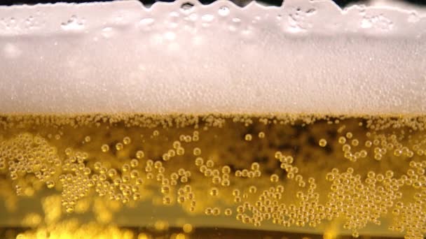 Ποτήρι μπύρας - κοντινό φόντο — Αρχείο Βίντεο